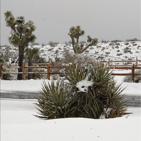 Meet your Posher, Taylor - Picture 1 of 1